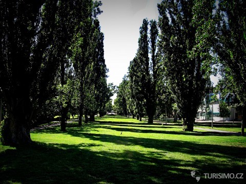 Canberrský městský park, autor: penreyes